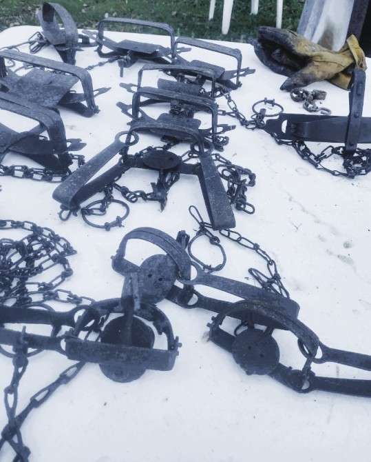 Name: image000003 (10).jpg
Views: 519
Size: 46.16 KB
ID: 27882 image000003 (10).jpg